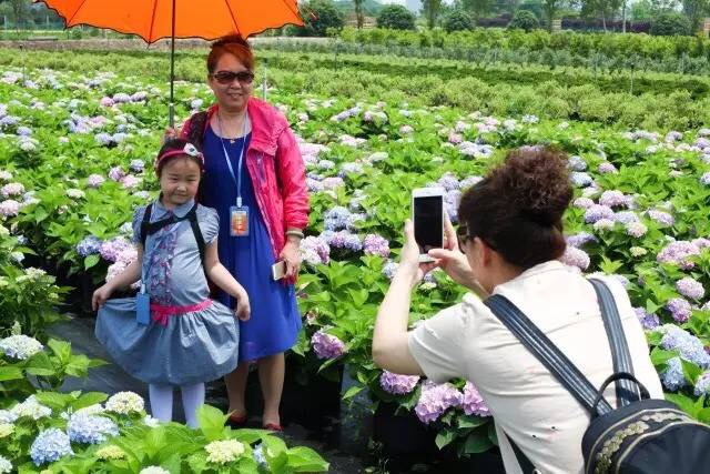 1495762408468303AjHO.jpg 1495762408468303AjHO.jpg